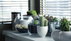 Interior Design Trends